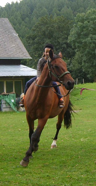 Léto 2009